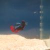 Betta imbellis Peaceful Betta, Crescent Betta, Wild-Type Betta
