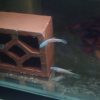 Betta Antuta